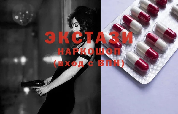 дживик Инта