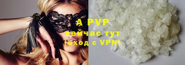 дживик Инта