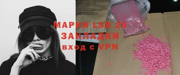 гашик Зерноград