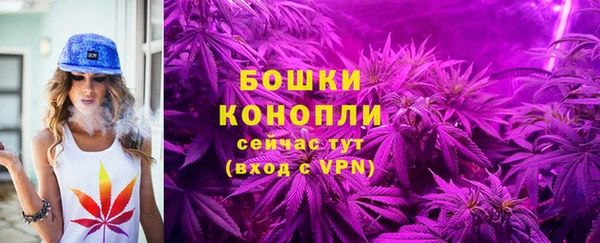 Альфа ПВП Зеленокумск