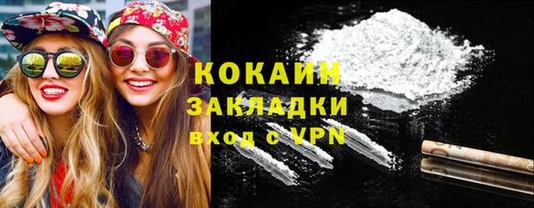 дживик Инта