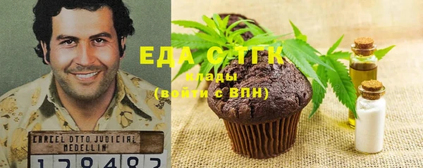 дживик Инта