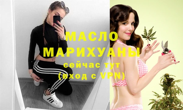 дживик Инта