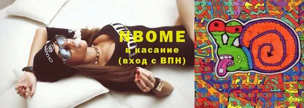 дживик Инта
