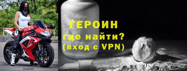 дживик Инта